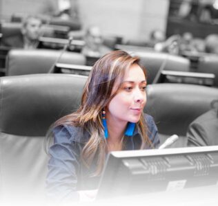 Katherine Miranda Congreso